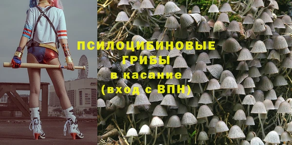 дживик Дмитровск
