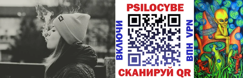 Купить  Асбест  Псилоцибиновые грибы Psilocybe 